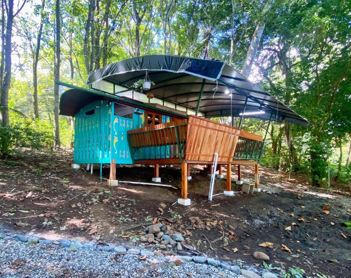 Gypsy Wagons Otel Pavones  Dış mekan fotoğraf