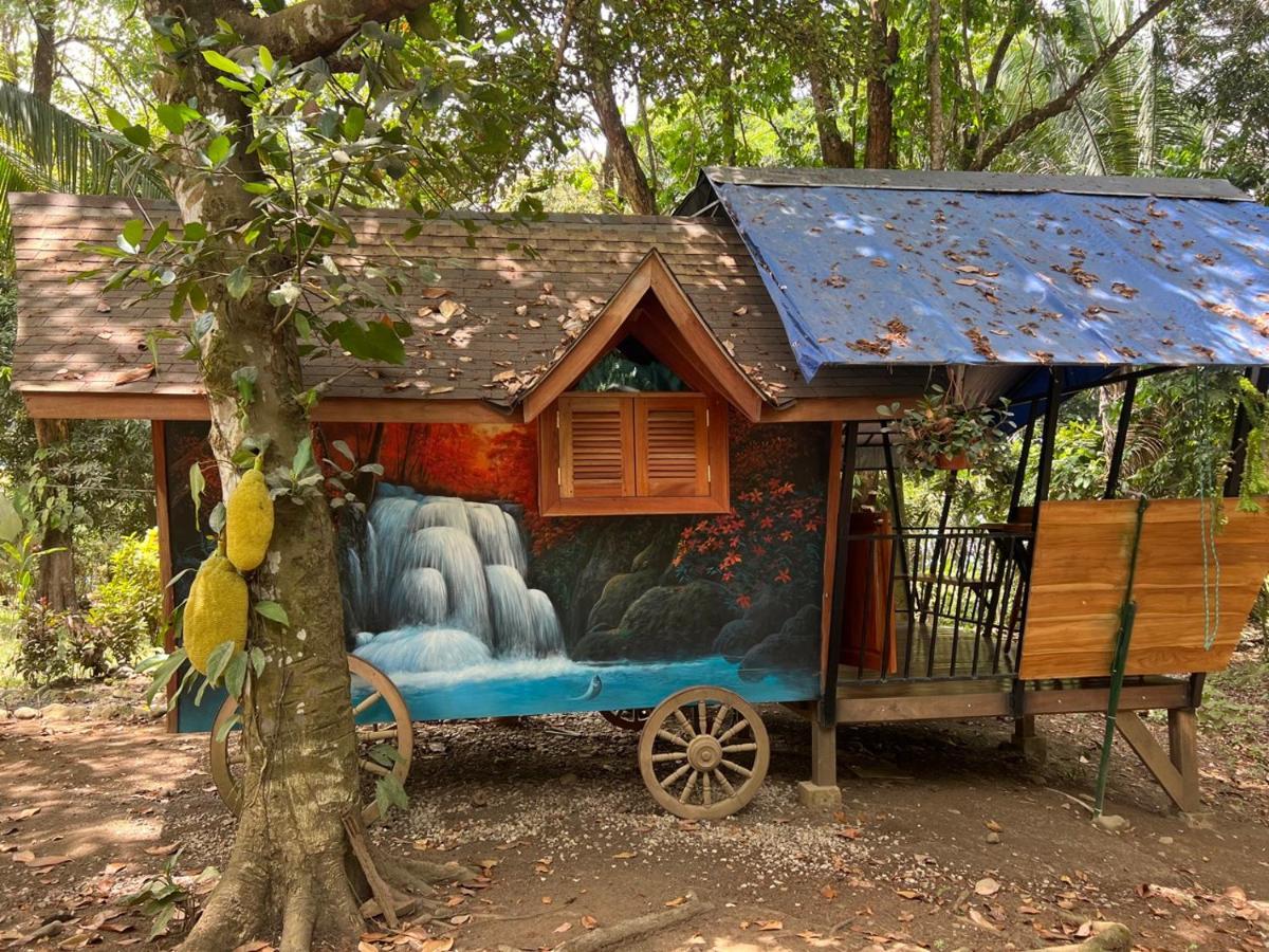 Gypsy Wagons Otel Pavones  Dış mekan fotoğraf